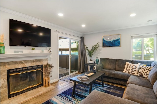 living room featuring crown molding, wood-type flooring, and a fireplace