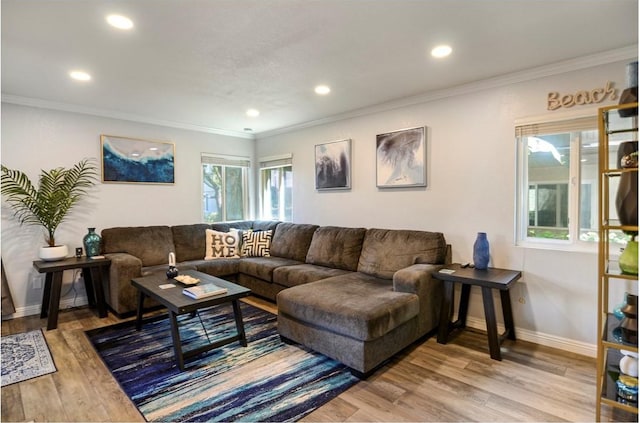 living room featuring hardwood / wood-style flooring and crown molding