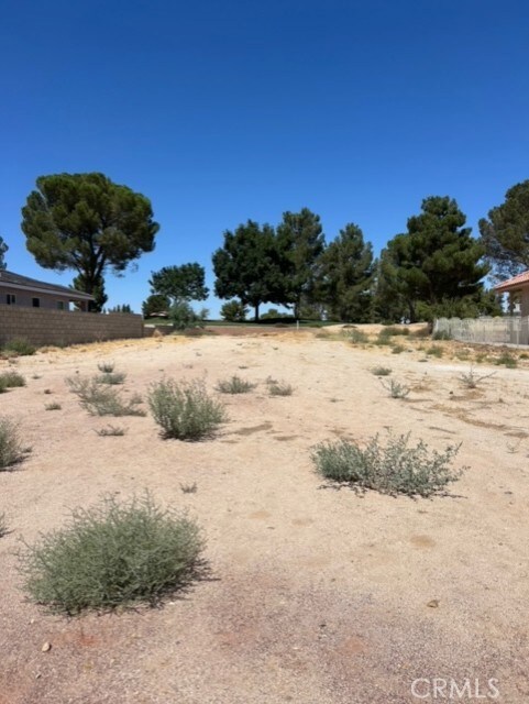 14910 Fireside Ln, Helendale, CA 92342
