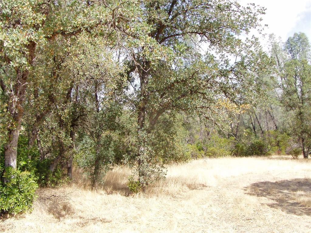 15838 El Dorado Dr, Corning, CA 96021 - photo 3