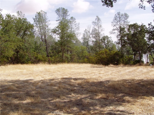 15838 El Dorado Dr, Corning CA, 96021 land for sale