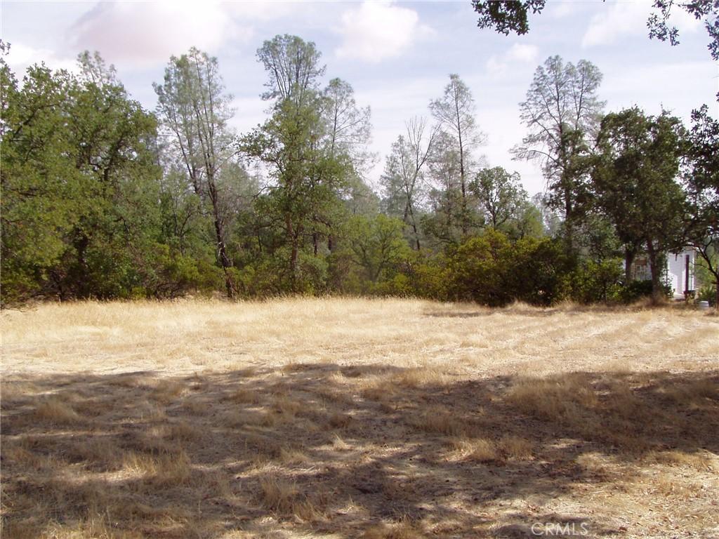 15838 El Dorado Dr, Corning, CA 96021 - photo 1