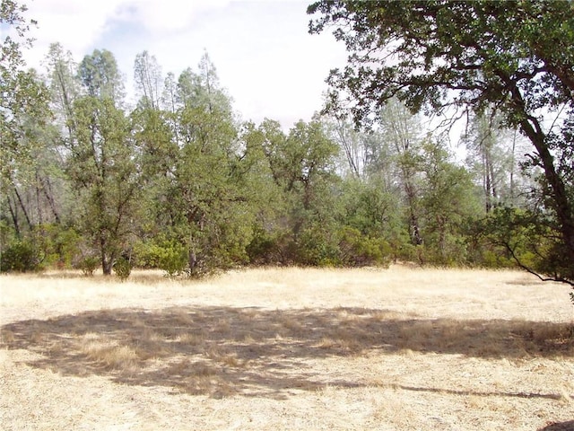 15838 El Dorado Dr, Corning, CA 96021 - photo 2
