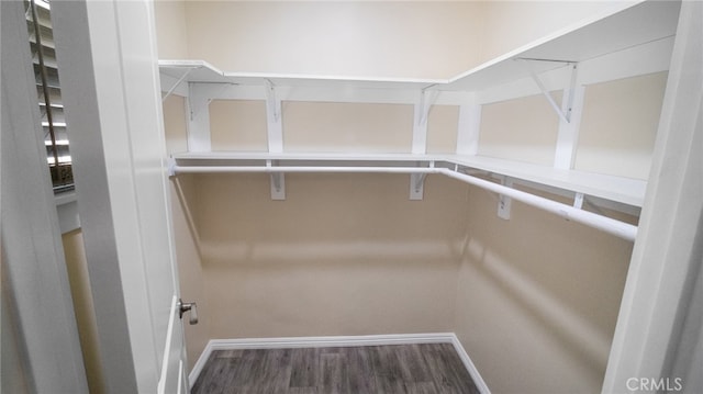 walk in closet featuring hardwood / wood-style floors