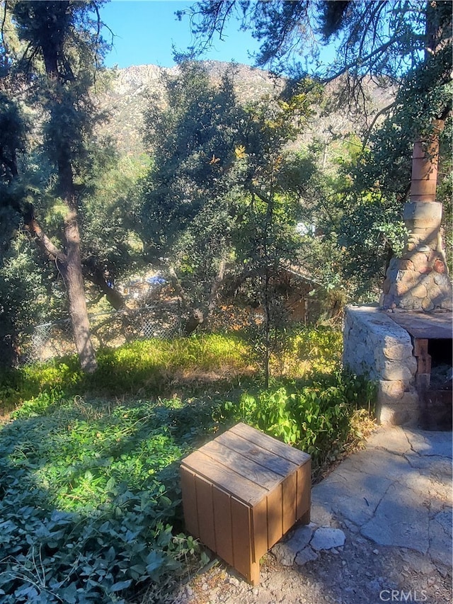 view of yard with a mountain view