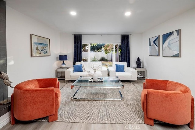 living room with wood-type flooring