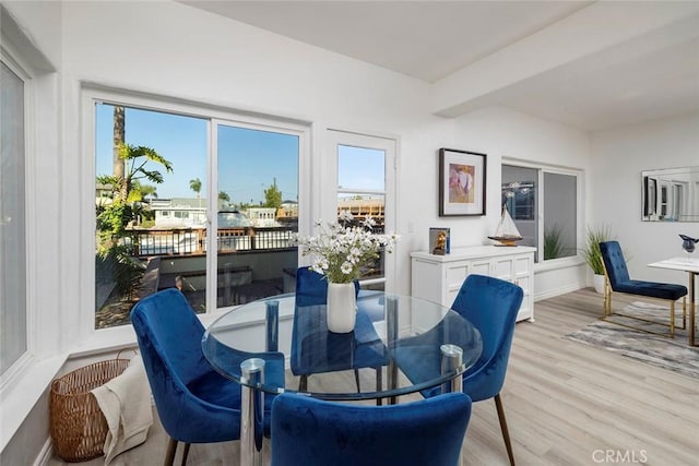 dining room featuring light hardwood / wood-style flooring and a healthy amount of sunlight