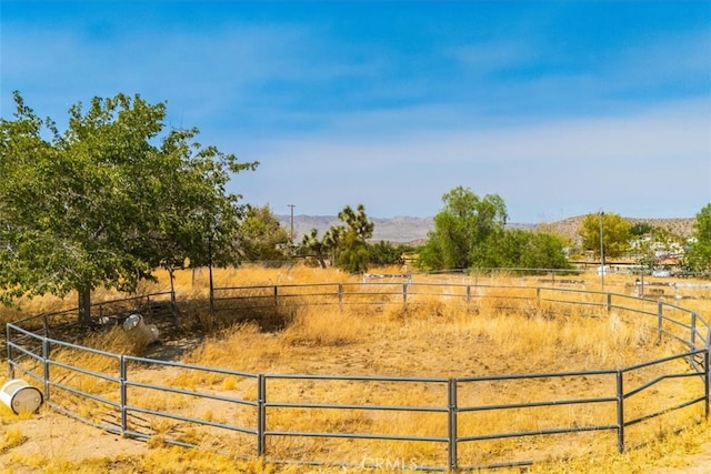 view of yard with a rural view