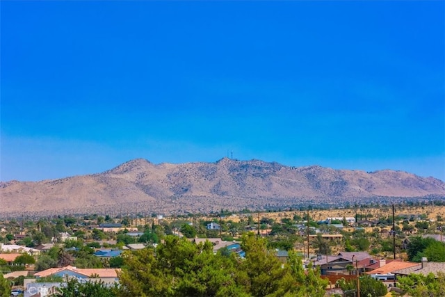 view of mountain feature