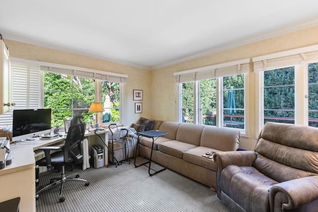 office space featuring carpet flooring, plenty of natural light, and ornamental molding