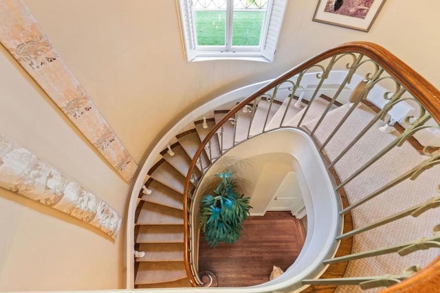 staircase with hardwood / wood-style flooring