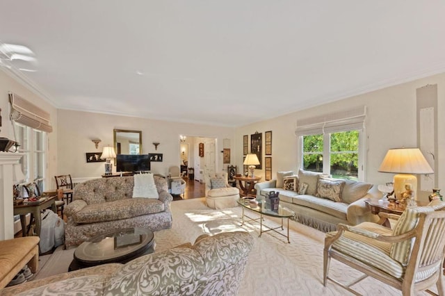 living room featuring light hardwood / wood-style floors and crown molding