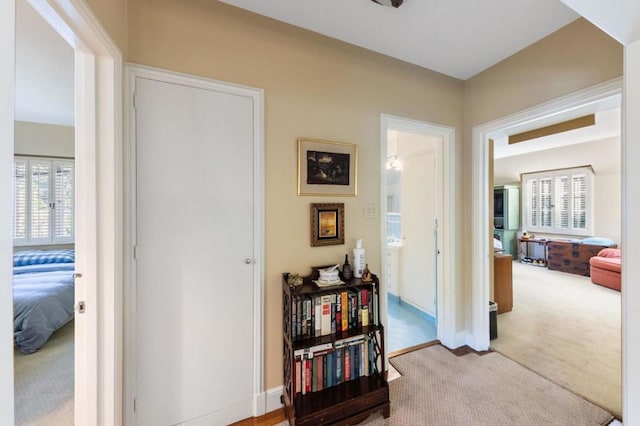 hallway featuring a wealth of natural light and light colored carpet