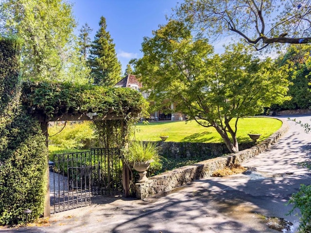 view of community featuring a yard