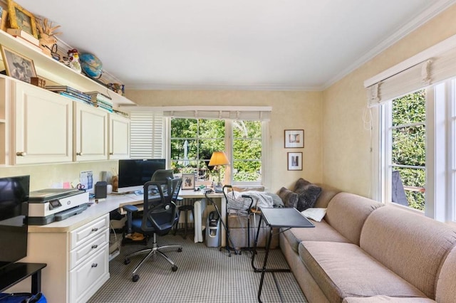 carpeted home office featuring a healthy amount of sunlight and crown molding