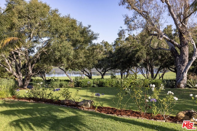 surrounding community with a water view and a yard