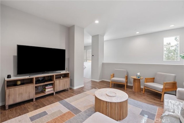 living room featuring hardwood / wood-style flooring