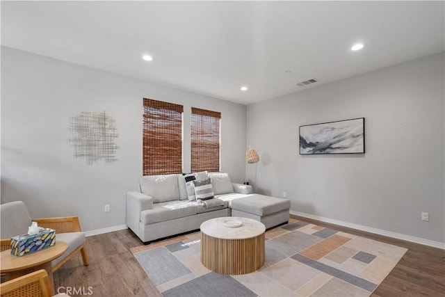 living room with wood-type flooring