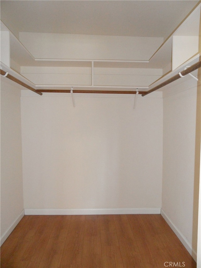 walk in closet featuring hardwood / wood-style floors