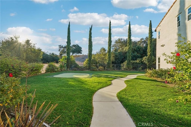 view of yard