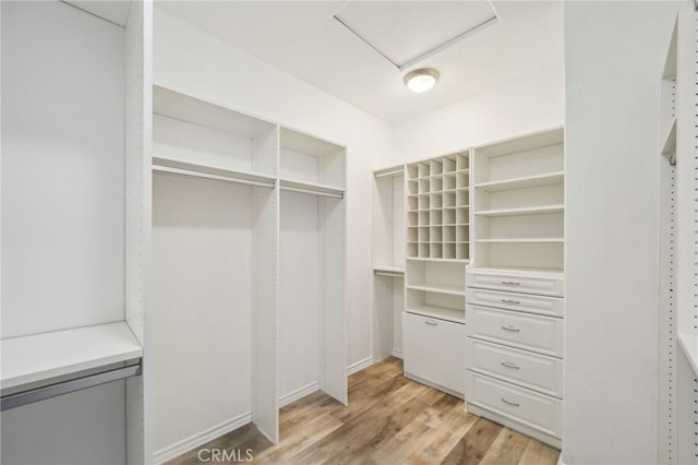 walk in closet featuring light hardwood / wood-style floors