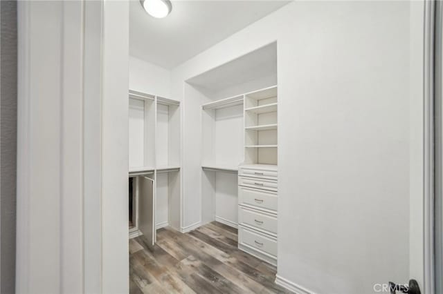 spacious closet with hardwood / wood-style floors