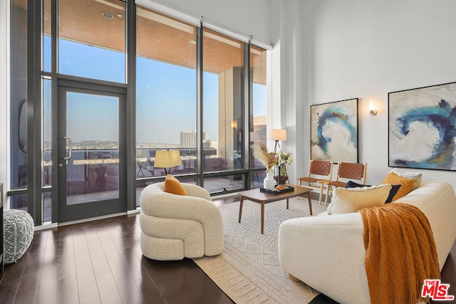 living room with a towering ceiling, dark hardwood / wood-style floors, and expansive windows