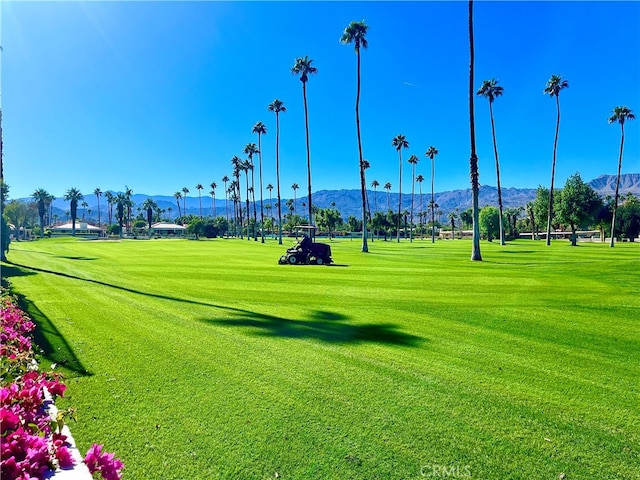 surrounding community featuring a lawn and a mountain view