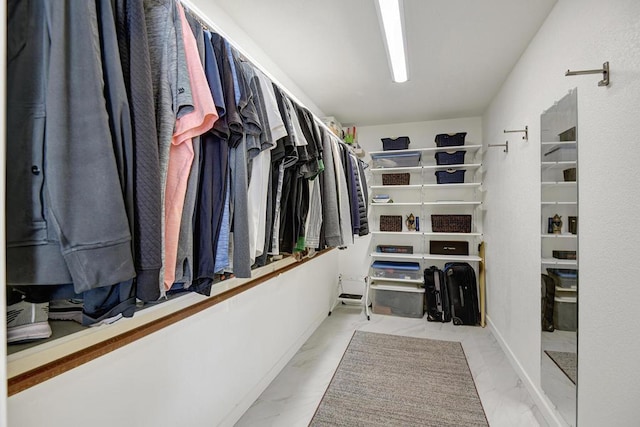 view of spacious closet