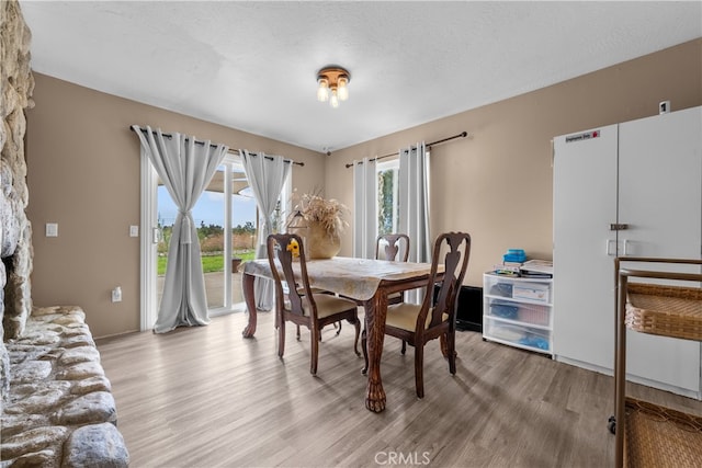 dining room featuring light hardwood / wood-style flooring and a textured ceiling