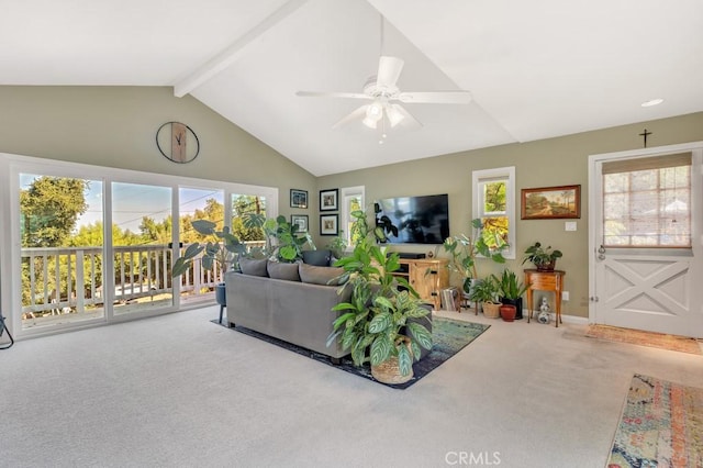 carpeted living room with lofted ceiling with beams and ceiling fan