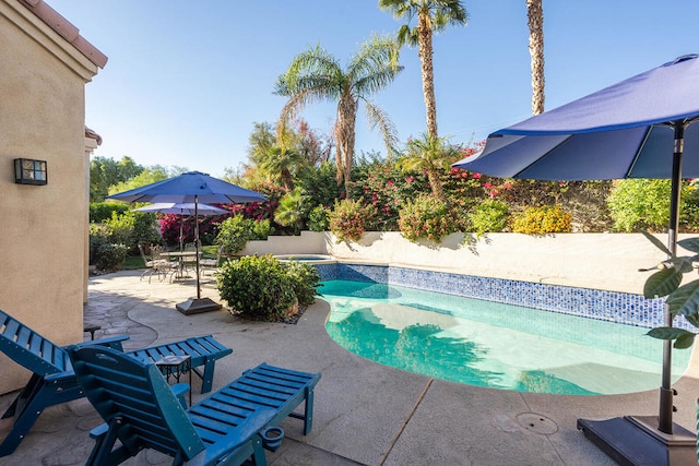 view of pool with a patio