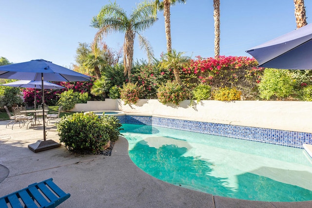 view of pool with a patio