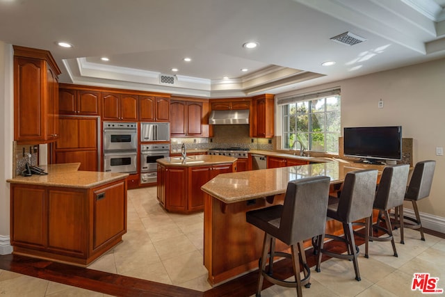 kitchen with a tray ceiling, appliances with stainless steel finishes, kitchen peninsula, and a center island