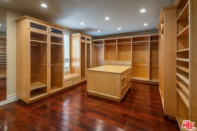 spacious closet with dark hardwood / wood-style flooring