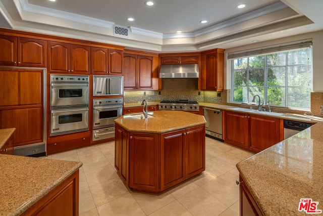 kitchen with appliances with stainless steel finishes, light stone countertops, a tray ceiling, a center island with sink, and sink