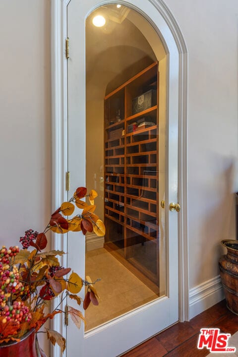 wine cellar featuring dark wood-type flooring