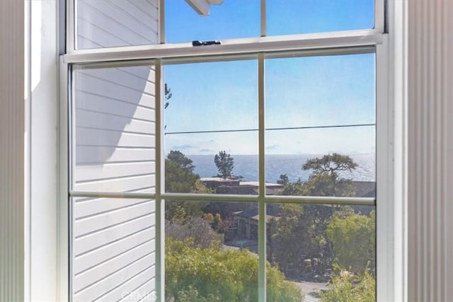 room details featuring a water view