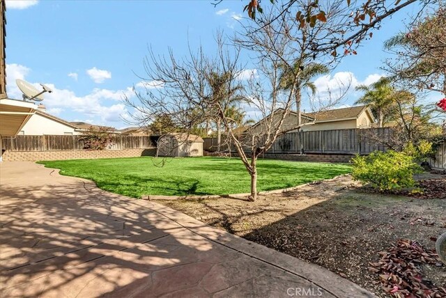 view of yard with a patio area