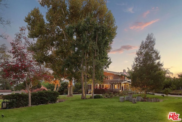 view of yard at dusk