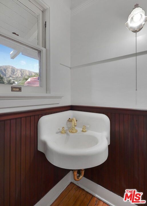 bathroom with wooden walls, a mountain view, and hardwood / wood-style floors