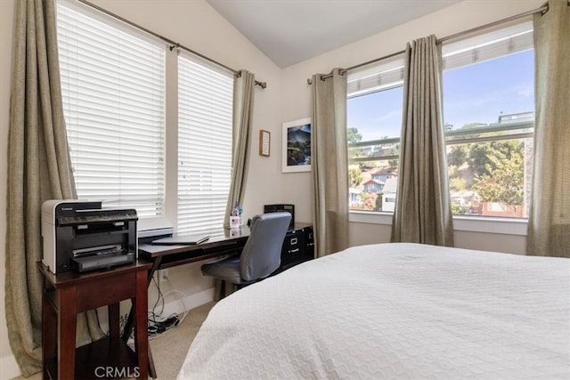 bedroom featuring lofted ceiling and multiple windows