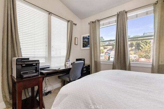 carpeted bedroom with multiple windows and vaulted ceiling