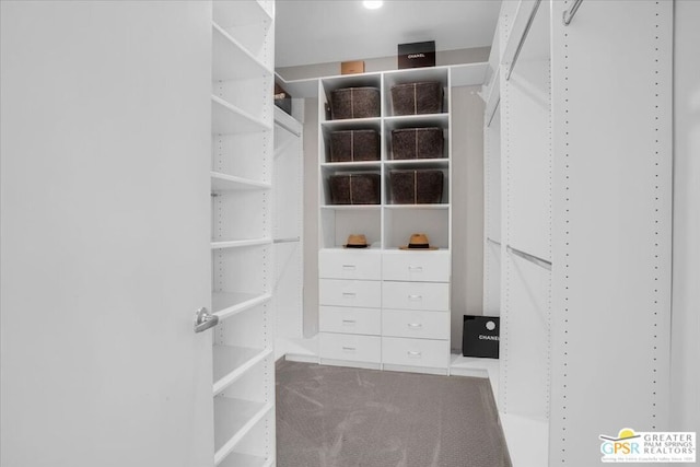 walk in closet with carpet