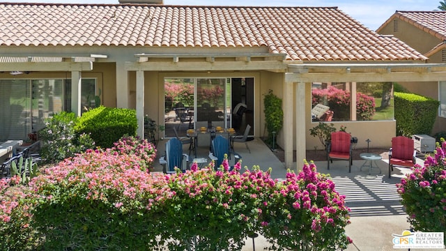 back of house featuring a pergola and a patio