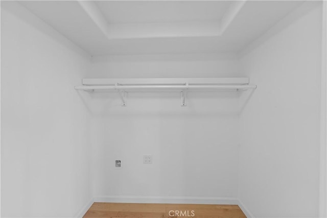 spacious closet with wood-type flooring and a raised ceiling