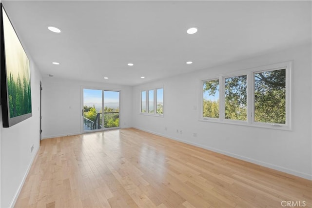 empty room featuring light hardwood / wood-style flooring