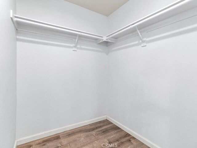 spacious closet with wood-type flooring