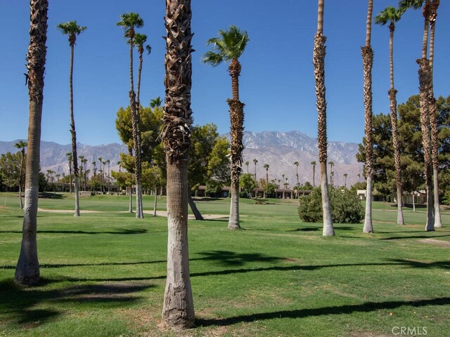 view of property's community with a mountain view and a lawn