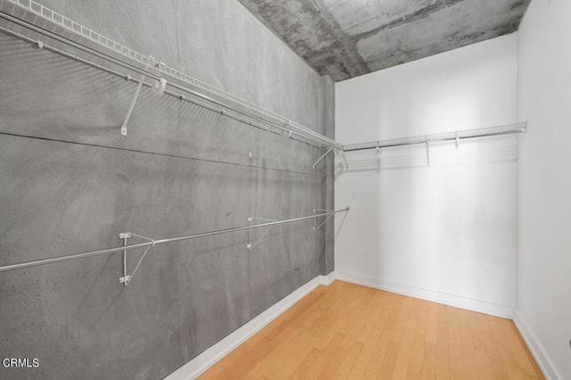 spacious closet featuring wood-type flooring